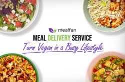 How to Go Vegan on a Busy Schedule: 2026 Meal Service Guide | MealFan