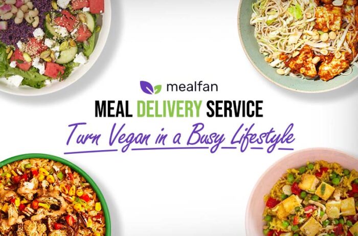 How to Go Vegan on a Busy Schedule: 2026 Meal Service Guide | MealFan