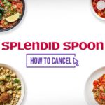 How to Cancel Splendid Spoon Plan