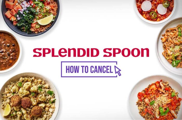How to Cancel Splendid Spoon in 2026