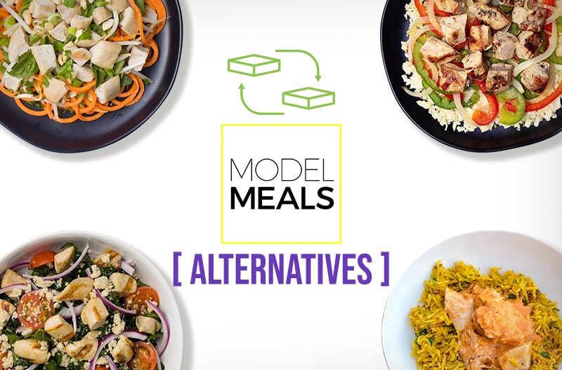 Model Meals Alternatives