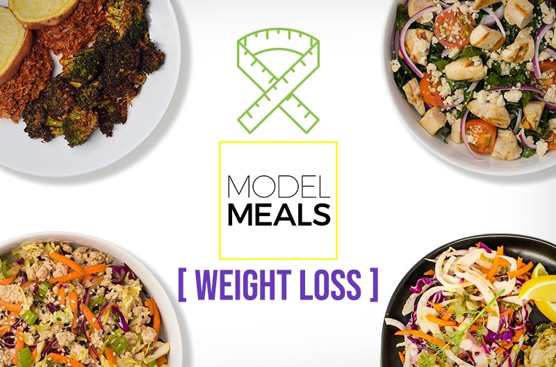 Model Meals Lose Weight