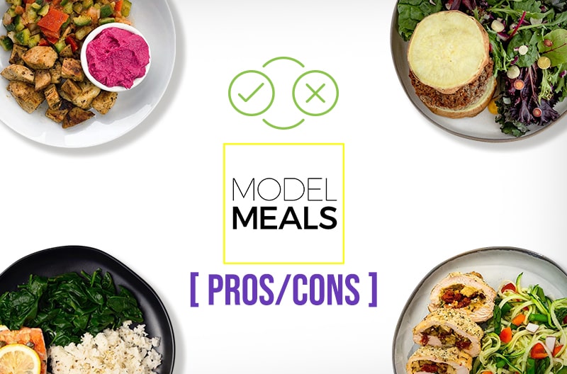 Model Meals Pros and Cons
