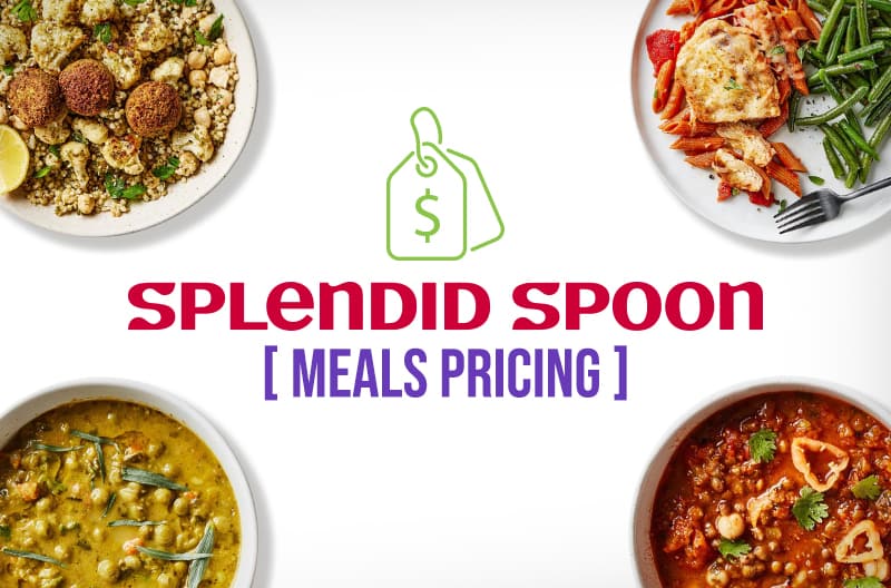 Splendid Spoon Meals Pricing