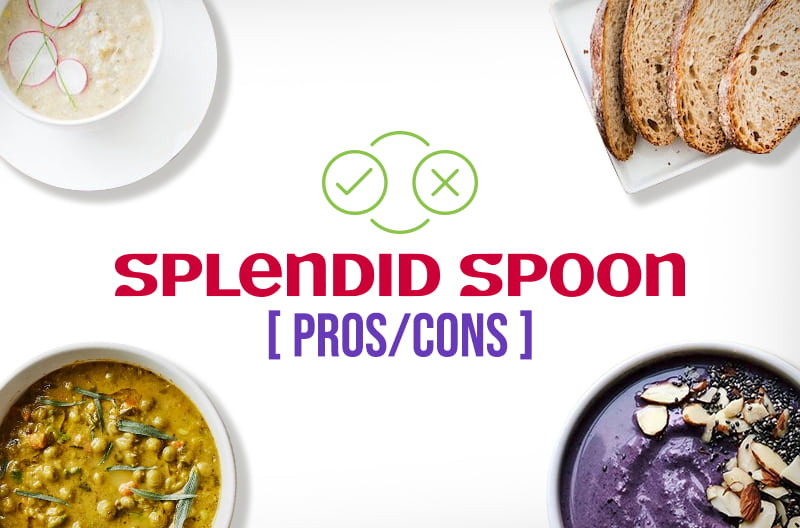 Splendid Spoon Pros and Cons
