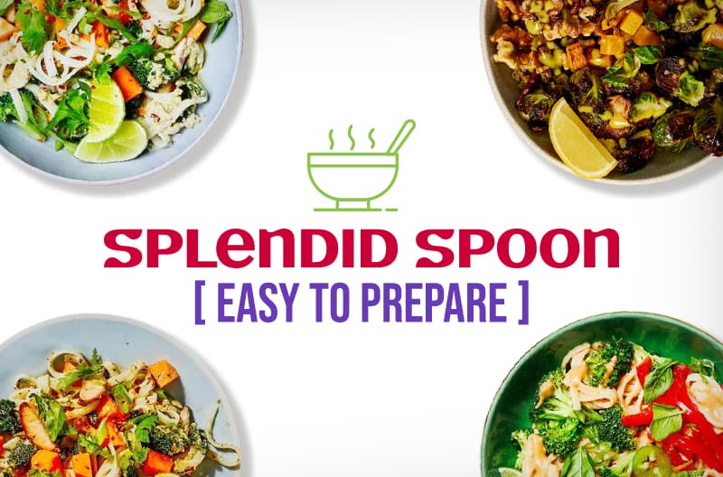 Splendid Spoon easy to prepare