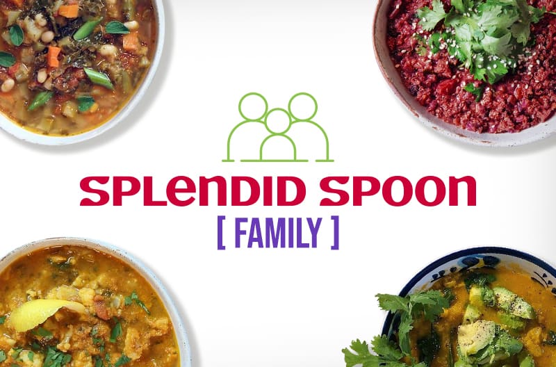 Splendid Spoon for Family