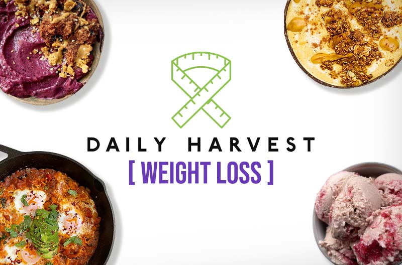 Daily Harvest Lose Weight