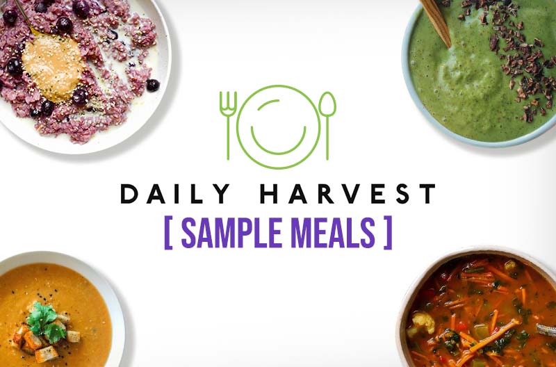 Daily Harvest Sample Meals