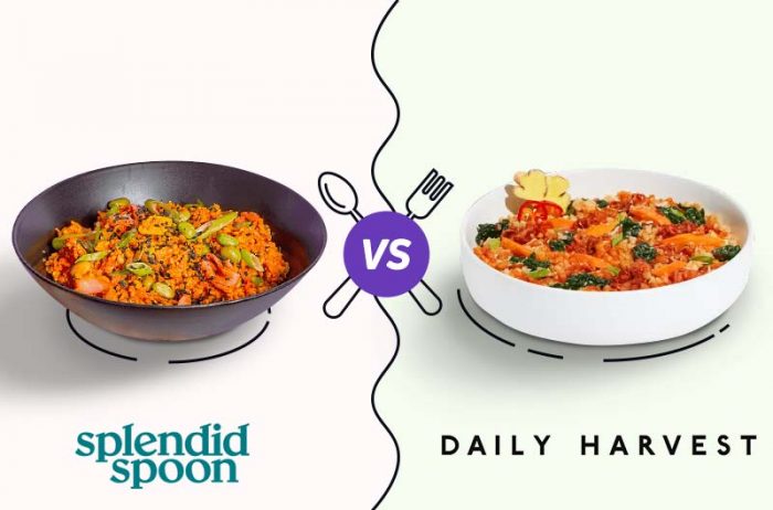 Splendid Spoon vs Daily Harvest 2026: Which Vegan Meal Service Actually Delivers?