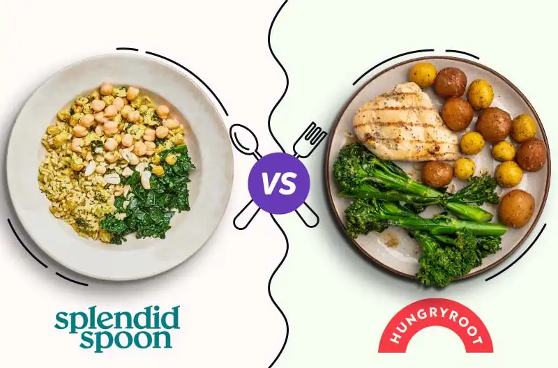 splendid-spoon-vs-hungryroot