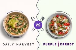 Daily Harvest vs Purple Carrot 2026: Which Plant-Based Service Wins?