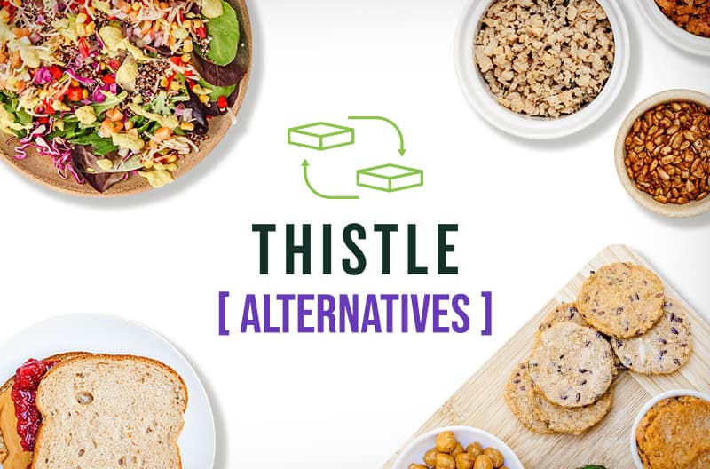 thistle-alternatives