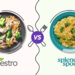 veestro-vs-splendid-spoon