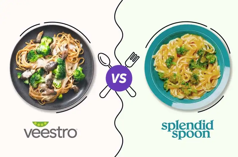 veestro-vs-splendid-spoon