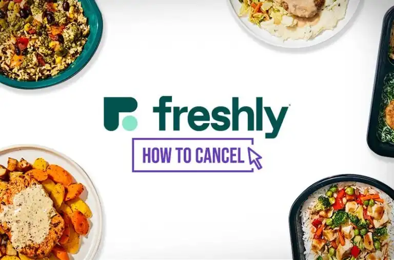 Freshly Shut Down in 2023. Here's What Actually Happened + 3 Replacements