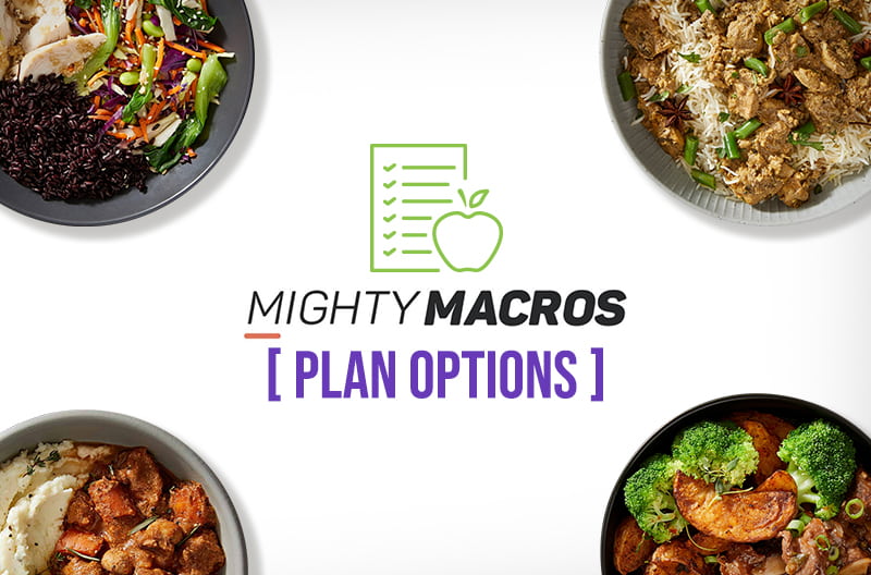 Mighty Macros Plan Options