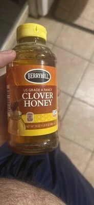 BerryHill Pure Honey