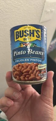 Bush's Best Pinto Beans