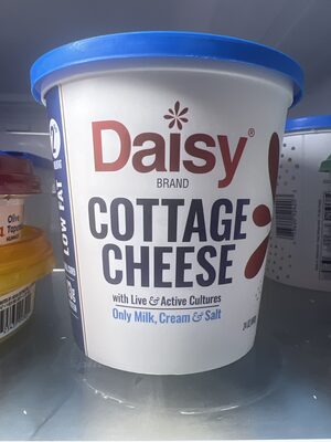 Daisy Cottage Cheese