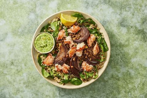webimage-HFRC-R18085APU03_Hero_CreamyChimichurriLentilAndSpinachGrainBowlsWithRoastedRedOnion_ipe-102-New-26a413f3