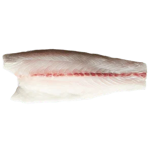 5c1aab73c445fa389b7b1c02-af92a197