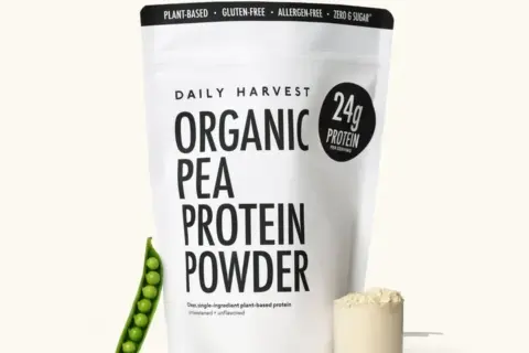 Organic Pea Protein Powder