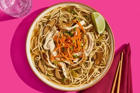 Organic Chicken & Udon Noodle Soup
