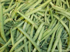 Reference photograph of Green beans