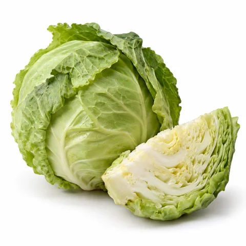 AI illustration of Cabbage