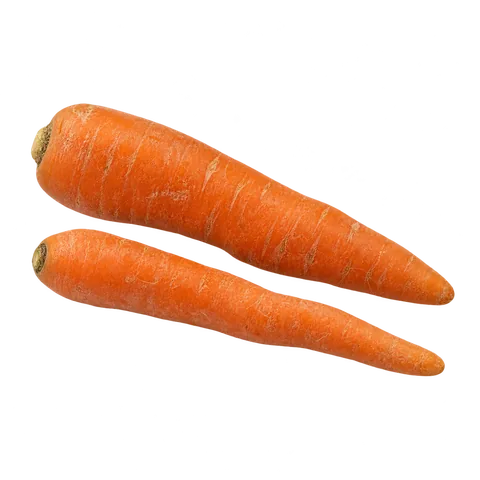 AI illustration of Carrot
