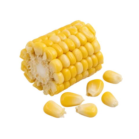 AI illustration of Corn