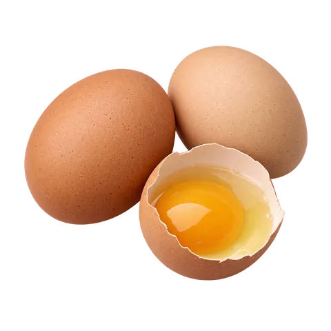 AI illustration of Egg
