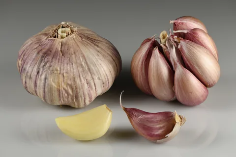 Reference photograph of Garlic Cloves