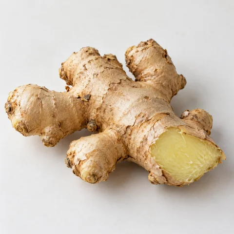 AI illustration of Ginger