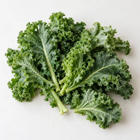 AI illustration of Kale