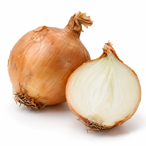 AI illustration of Onion