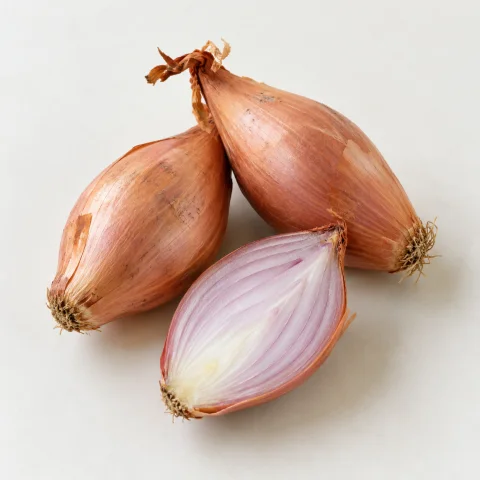AI illustration of Shallot